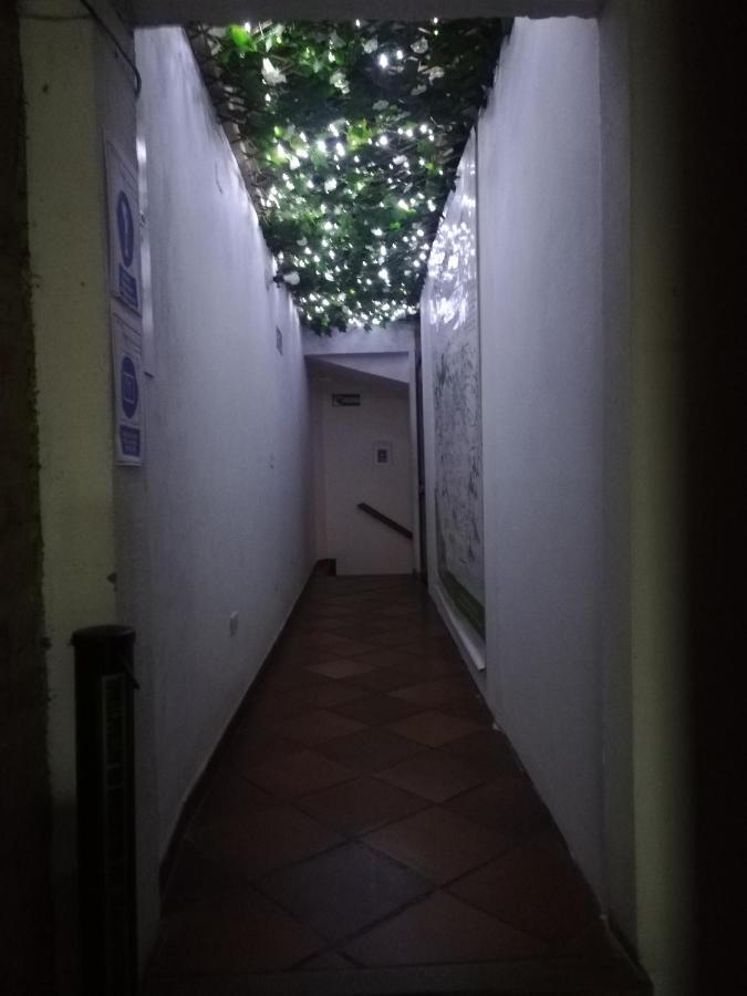 Cemandy Hostal 莱瓦镇 外观 照片
