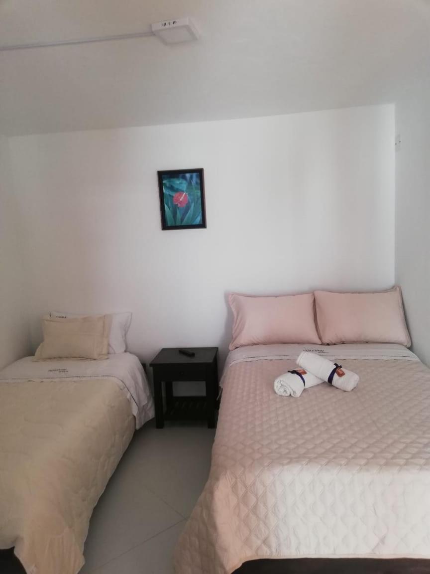Cemandy Hostal 莱瓦镇 外观 照片