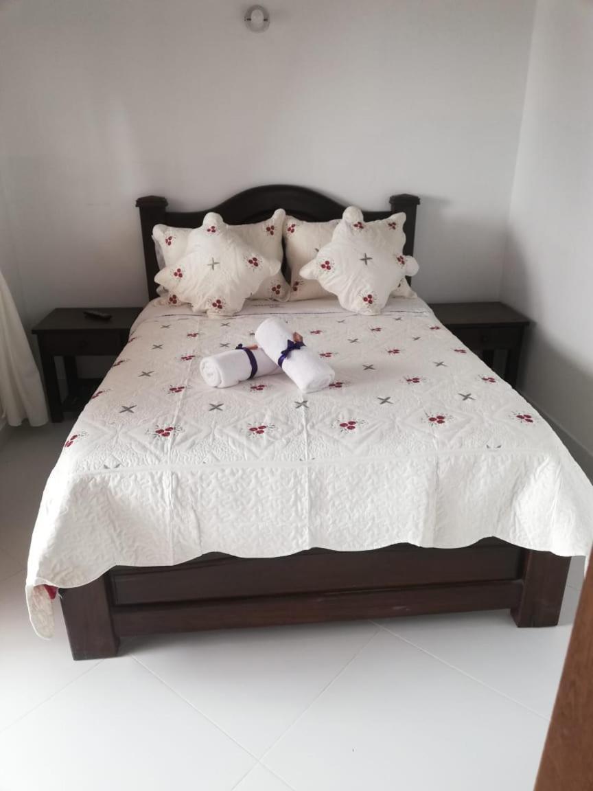 Cemandy Hostal 莱瓦镇 外观 照片